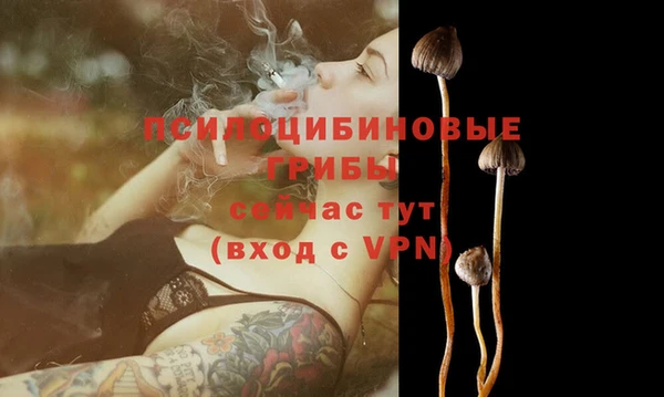 мескалин Белокуриха